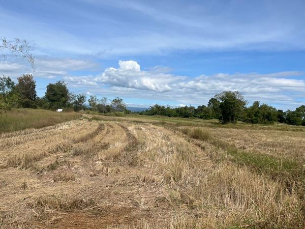 ขายที่ดิน 35 ไร่ อำเภอกบินทร์บุรี ปราจีนบุรี ติดถนนคอนกรีต เหมาะทำโรงงานหรือโกดัง ทำโคกหนองนา ติดถนนคอนกรีต